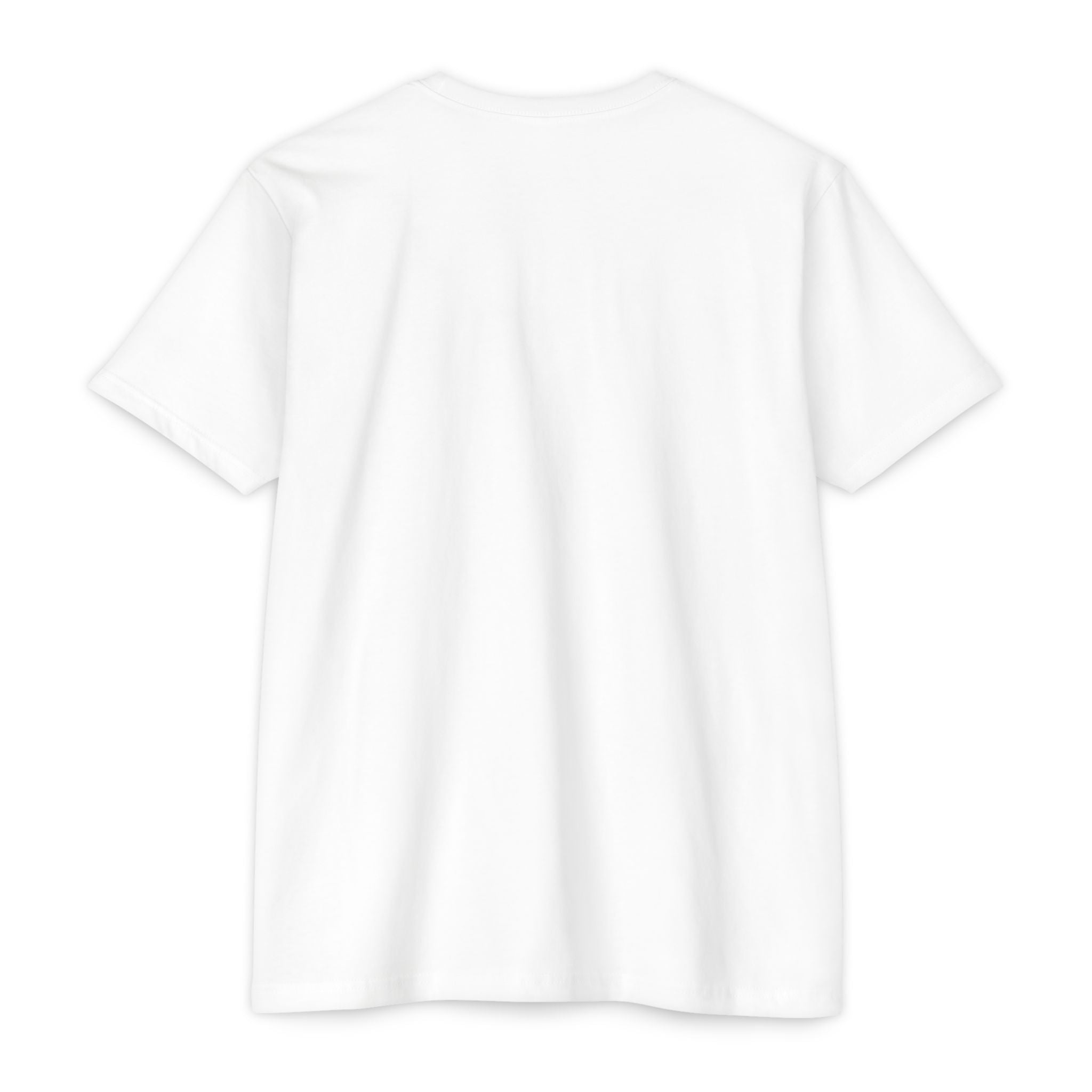 Main Character (Probably) T-Shirt